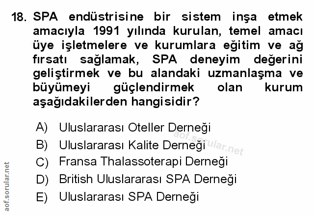 Soru 18