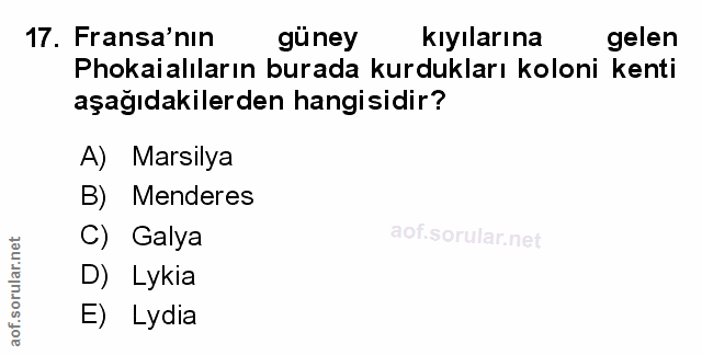 Soru 17