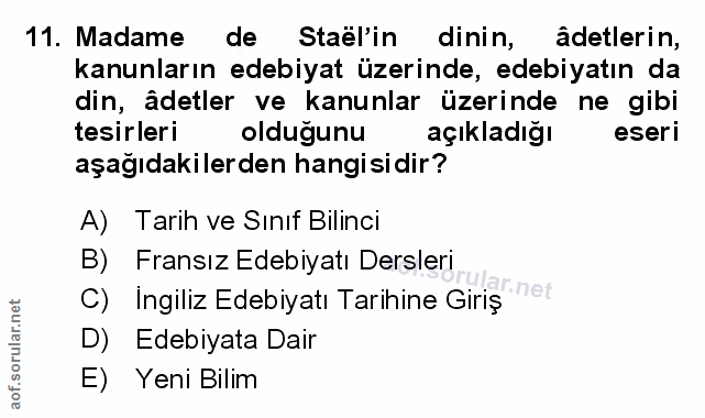 Soru 11