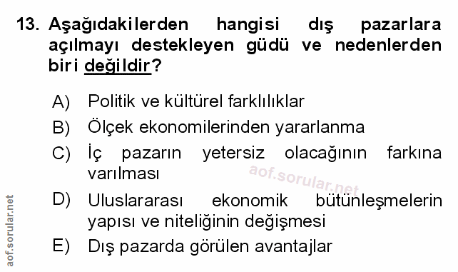 Soru 13