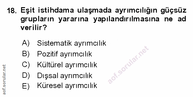 Soru 18