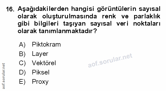 Soru 16