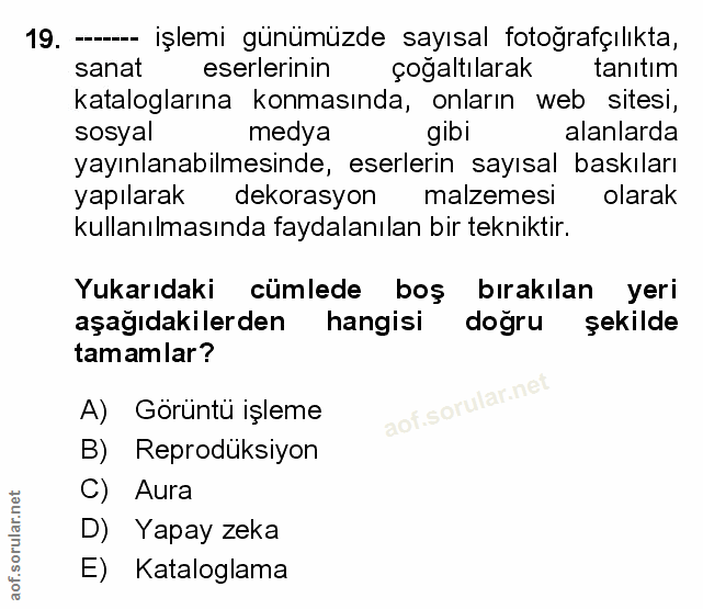 Soru 19