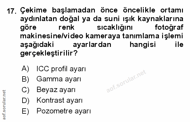 Soru 17