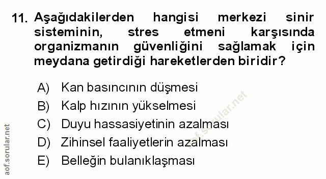 Soru 11