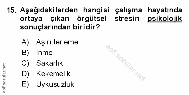 Soru 15
