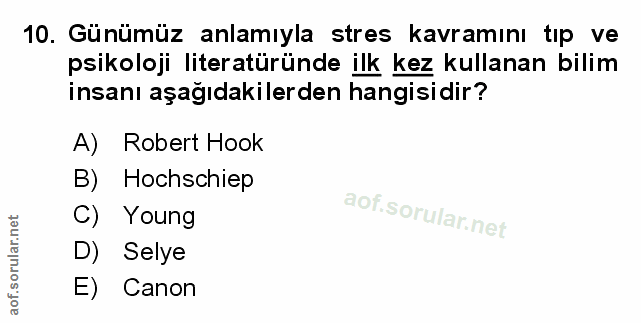 Soru 10