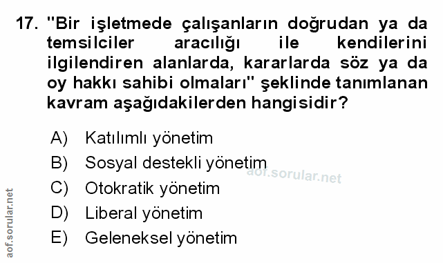 Soru 17