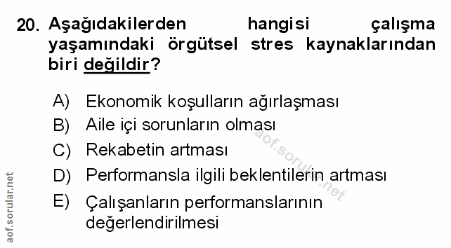 Soru 20
