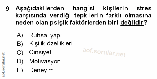 Soru 9