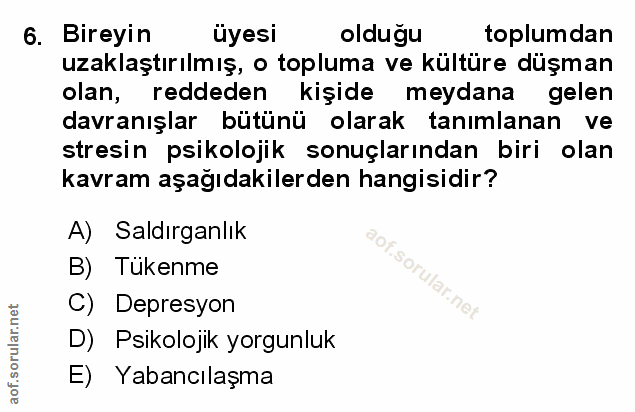 Soru 6