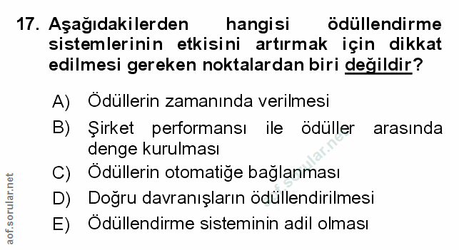 Soru 17