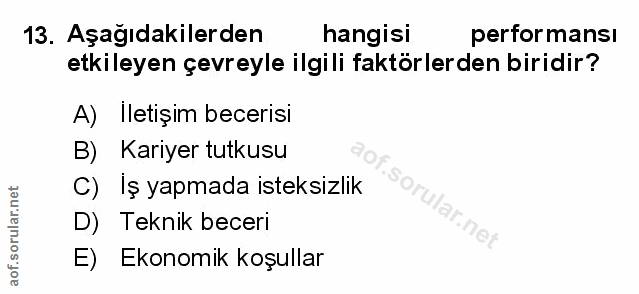 Soru 13