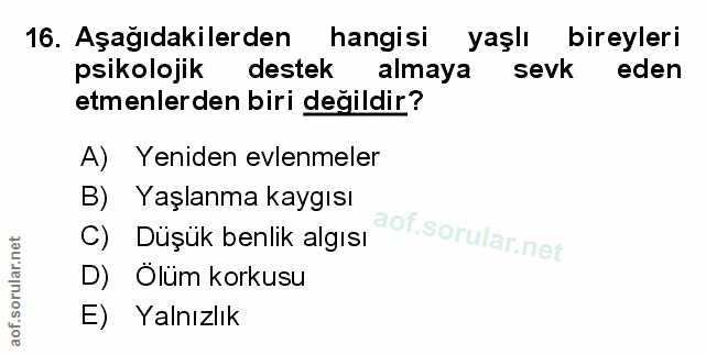 Soru 16