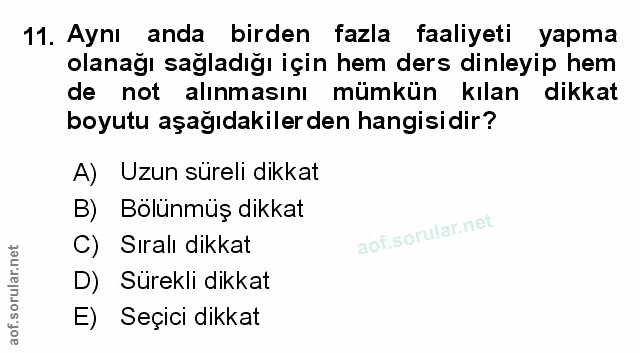 Soru 11