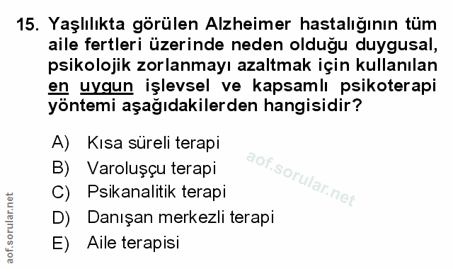 Soru 15