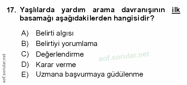 Soru 17