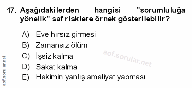 Soru 17