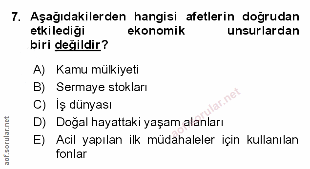 Soru 7