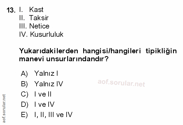 Soru 13