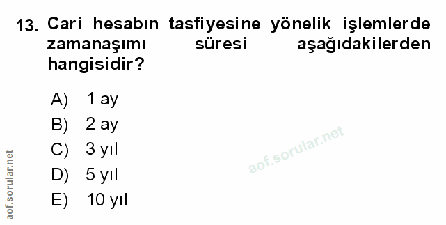 Soru 13