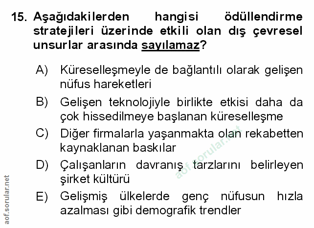 Soru 15