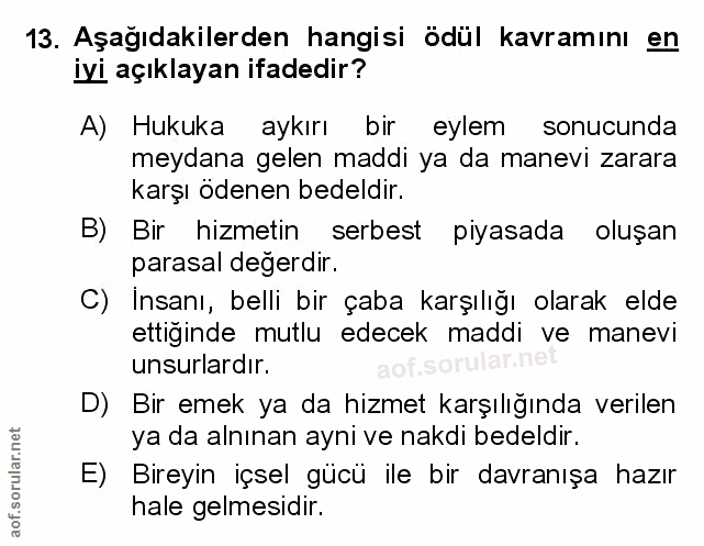 Soru 13