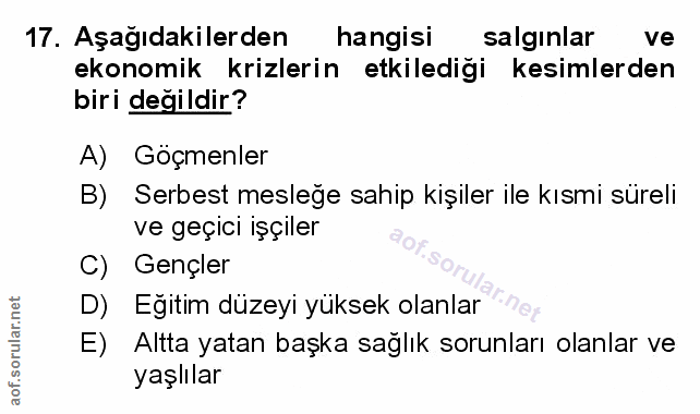 Soru 17