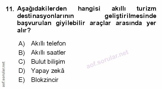 Soru 11