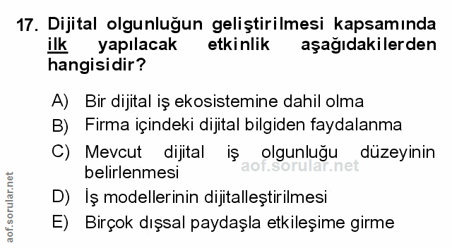 Soru 17