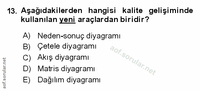 Soru 13