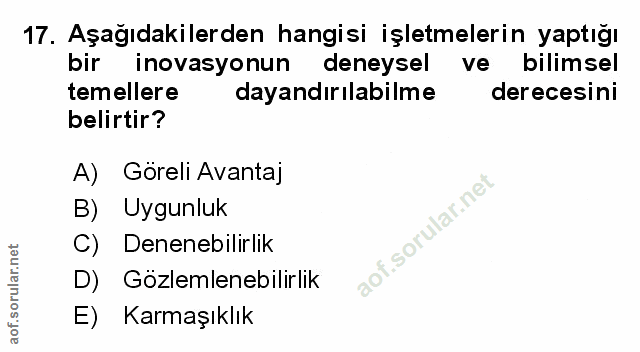 Soru 17