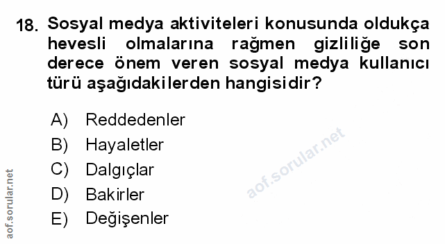 Soru 18