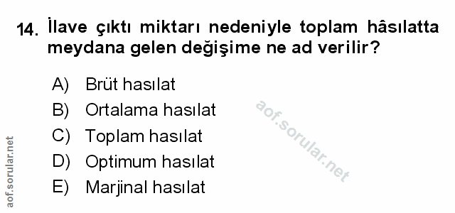 Soru 14