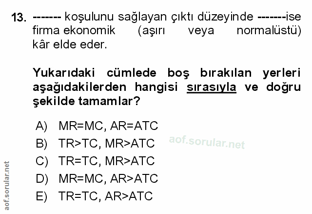 Soru 13
