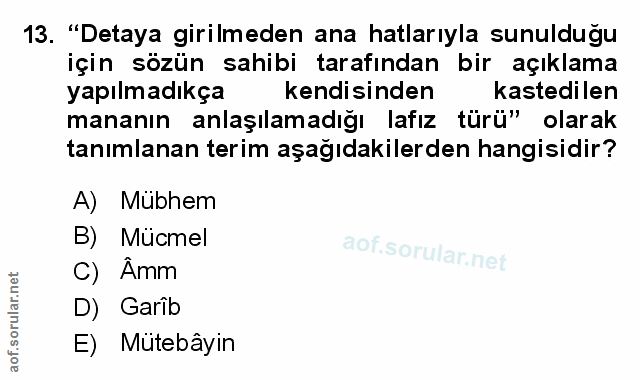 Soru 13