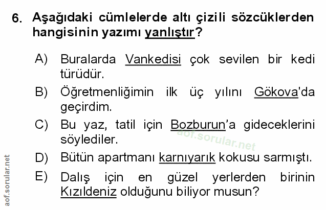 Soru 6