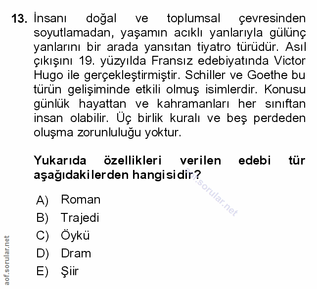 Soru 13