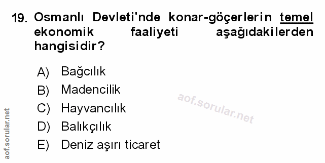 Soru 19
