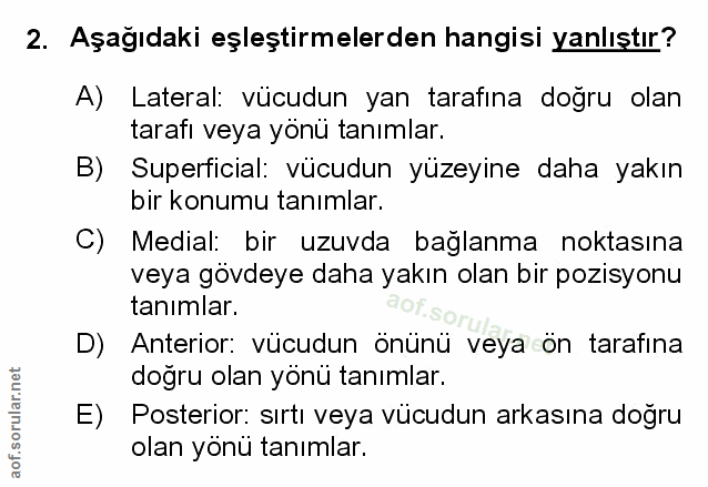 Soru 2