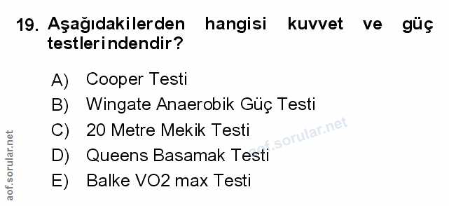 Soru 19