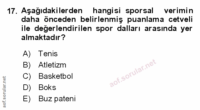 Soru 17