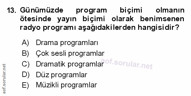 Soru 13