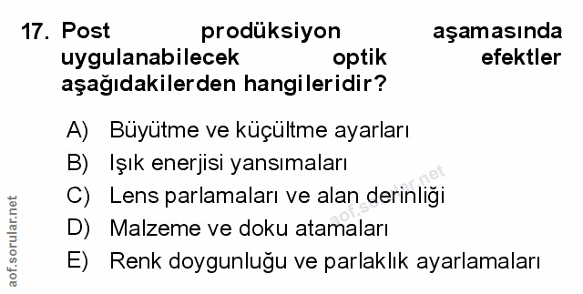 Soru 17