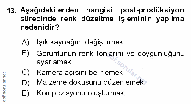 Soru 13