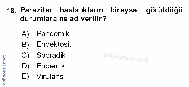 Soru 18