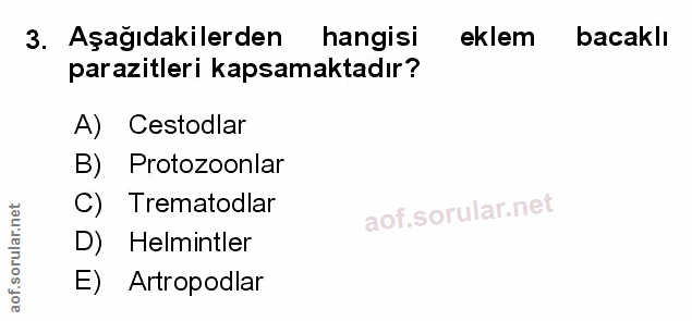 Soru 3