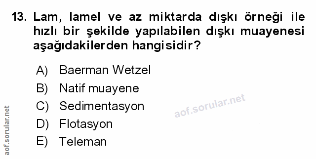 Soru 13