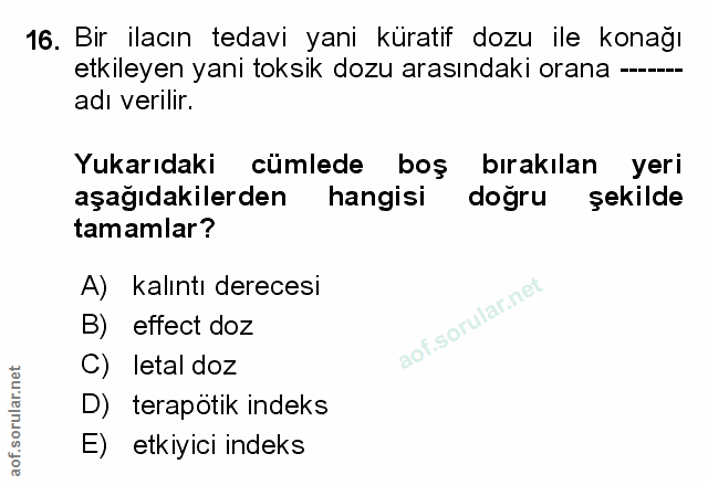 Soru 16
