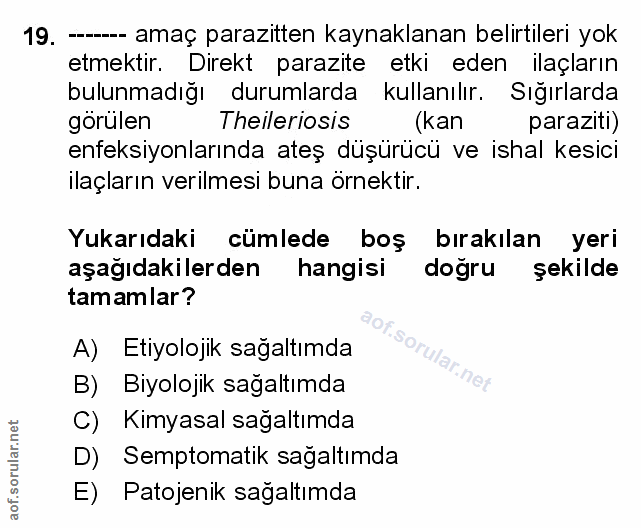 Soru 19